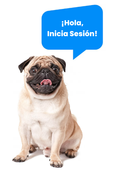 Login Image