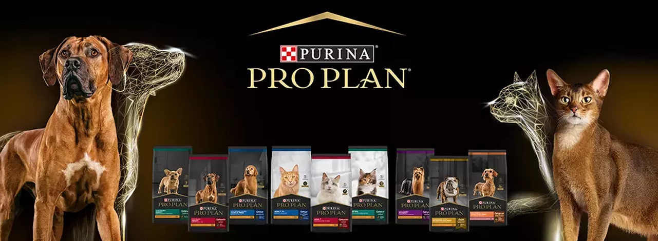 Pro Plan