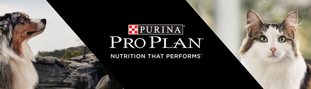 Pro Plan