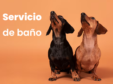 Servicio de baño