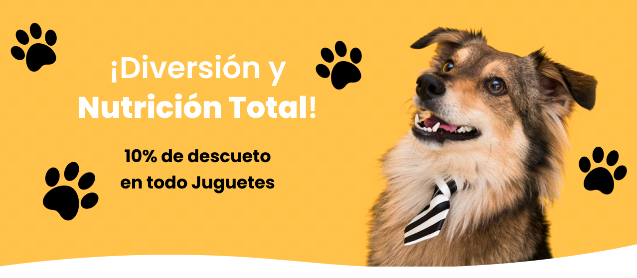 Diversión y Nutrición