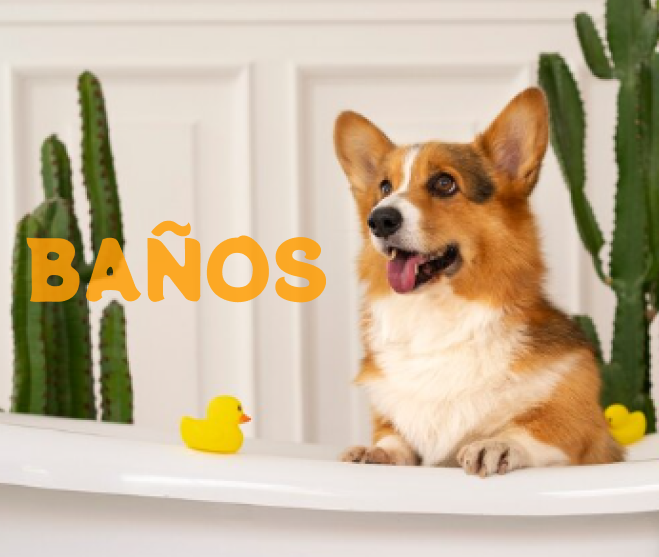 Baño