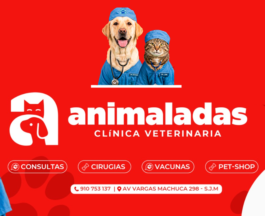 Servicios